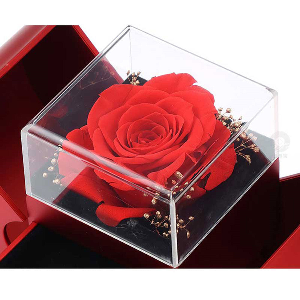 Red Apple Gift Necklace Eternal Rose Jewelry Box
